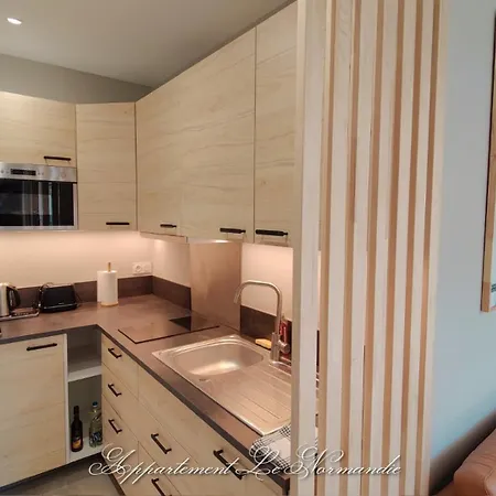 La Venelle Saint-nicolas 公寓 鲁昂